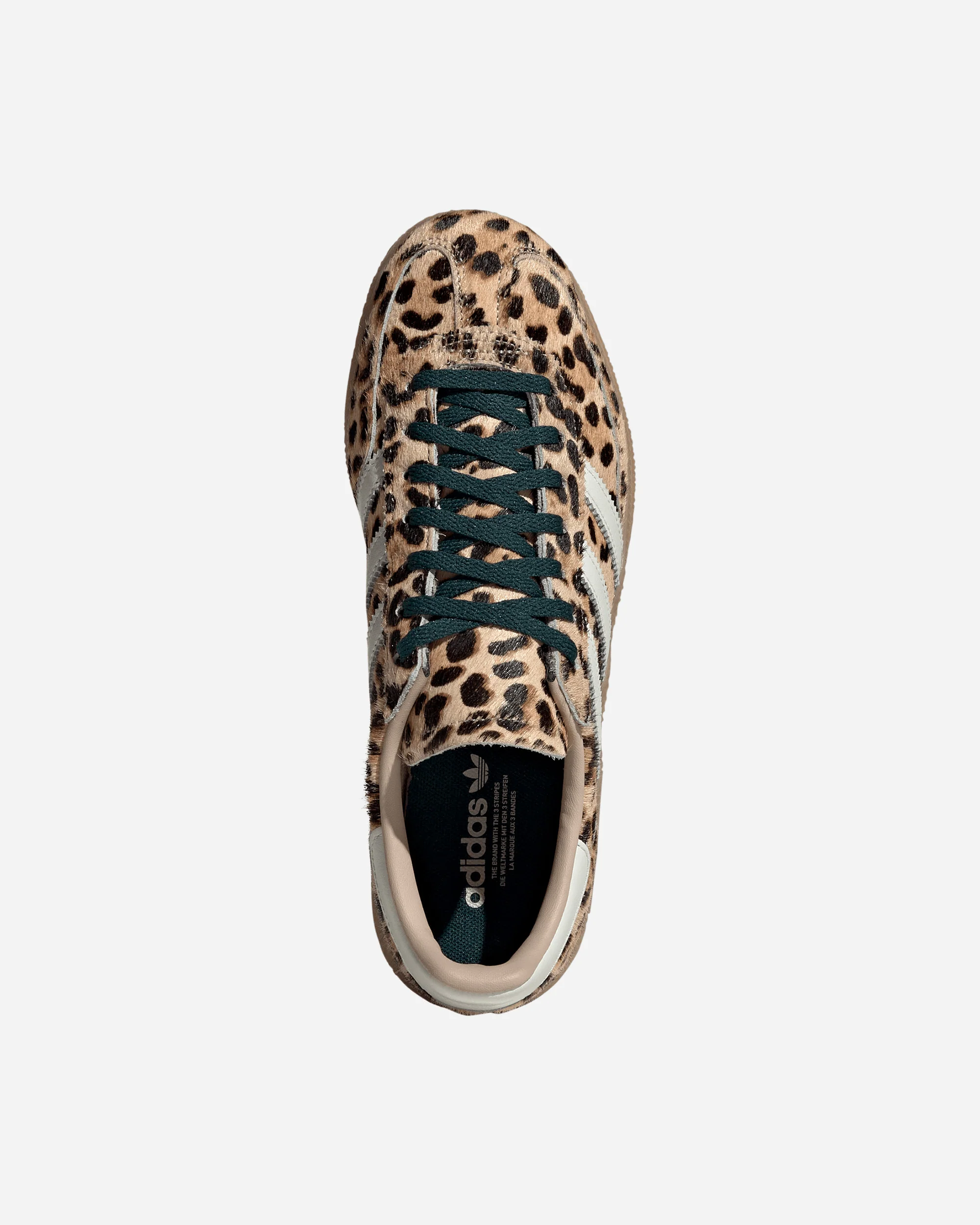 Handball Spezial - Image 4