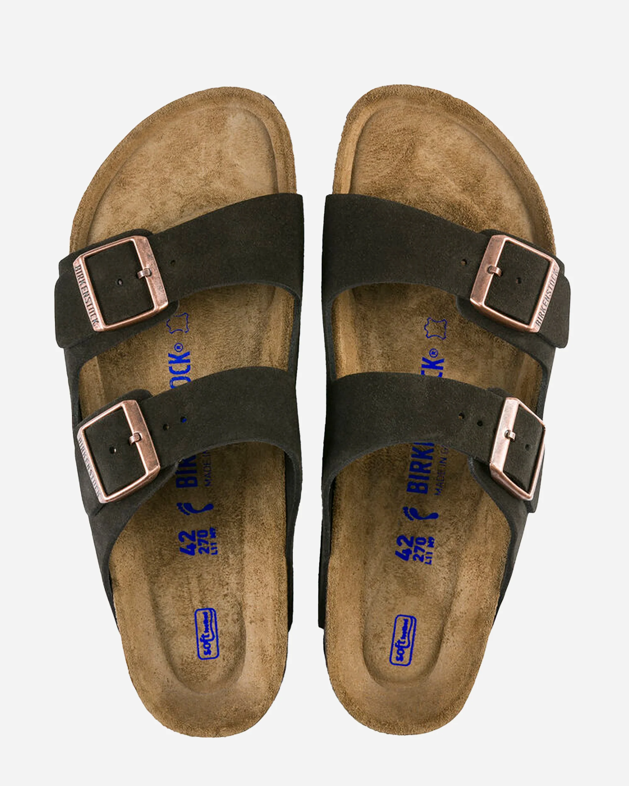Arizona SFB LEVE - Image 4