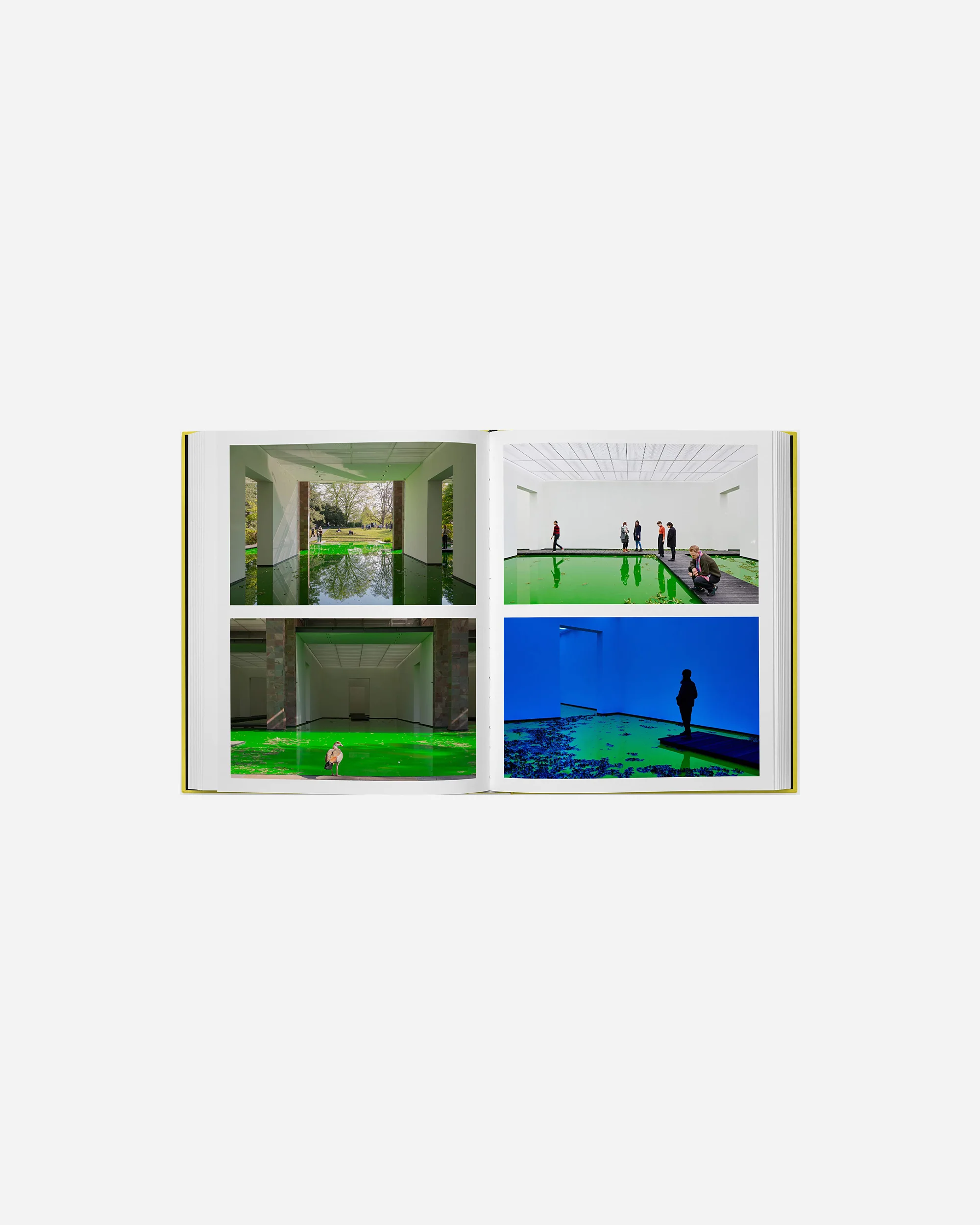 Olafur Eliasson, Experience - Image 2