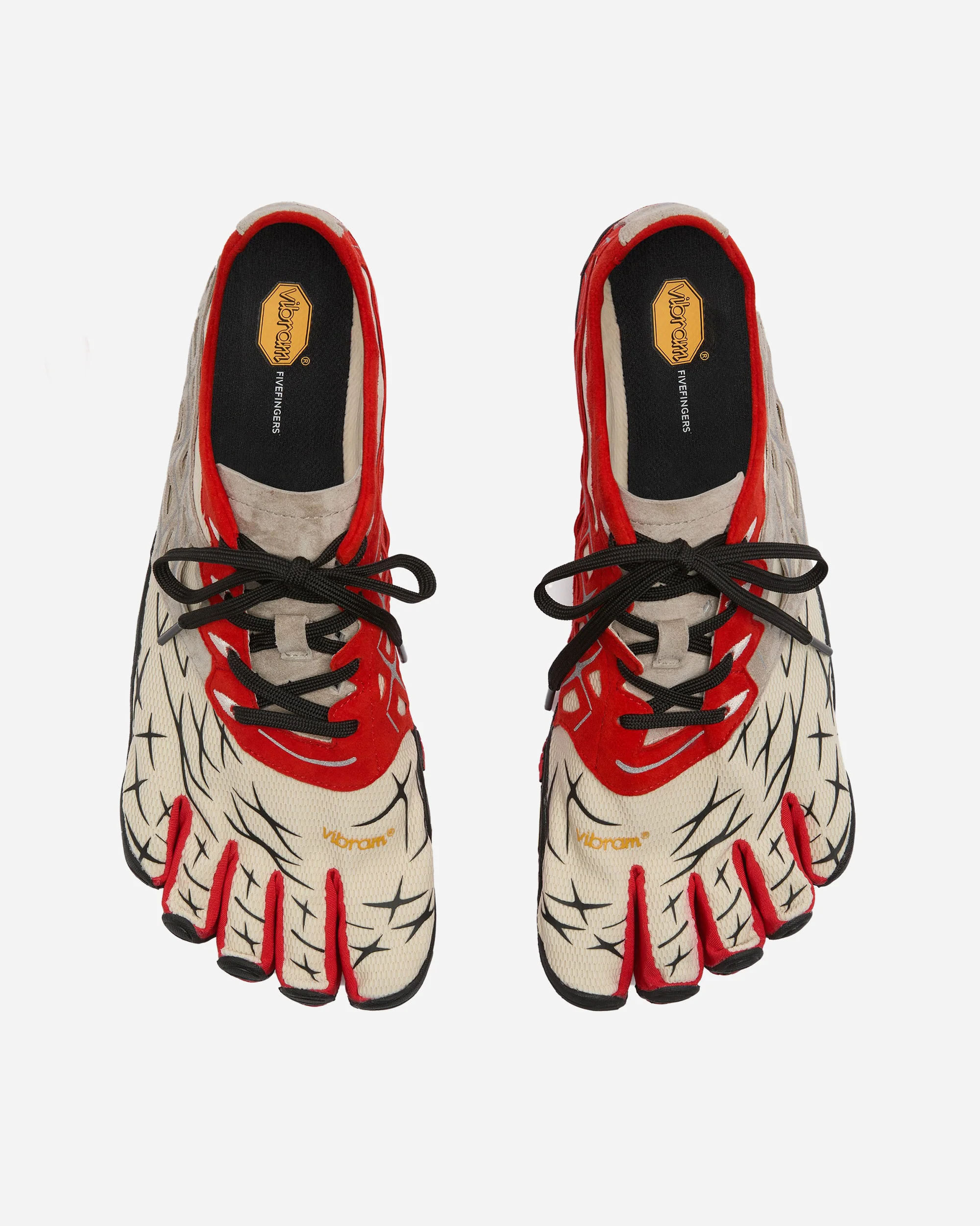 Seeya LS Evo - Image 3